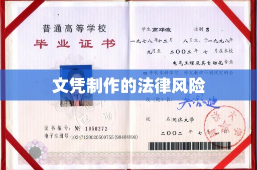 塔河文凭制作的法律风险