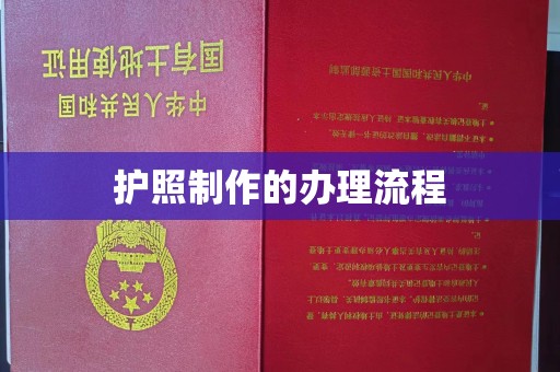 塔河护照制作的办理流程