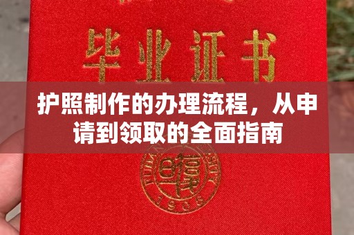 塔河护照制作的办理流程，从申请到领取的全面指南