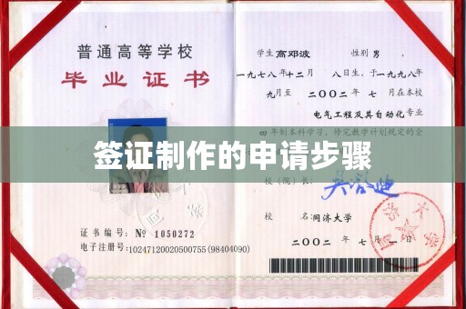 塔河签证制作的申请步骤