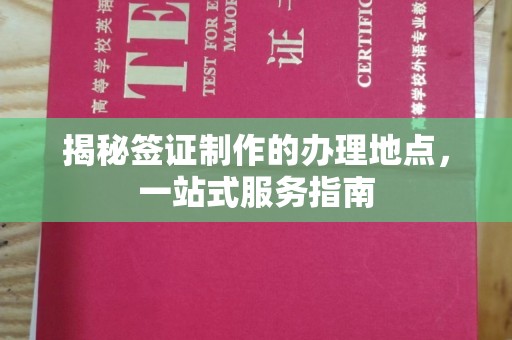 塔河揭秘签证制作的办理地点，一站式服务指南