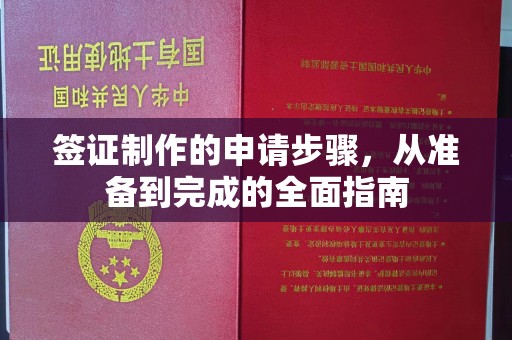 塔河签证制作的申请步骤，从准备到完成的全面指南
