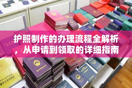 塔河护照制作的办理流程全解析，从申请到领取的详细指南
