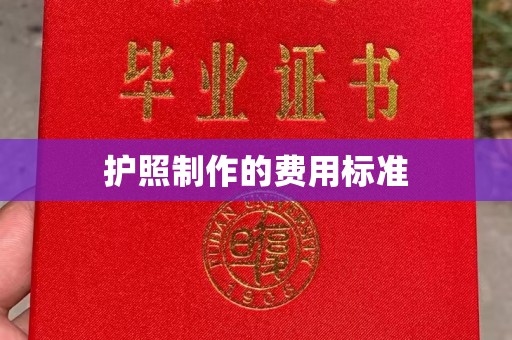塔河护照制作的费用标准