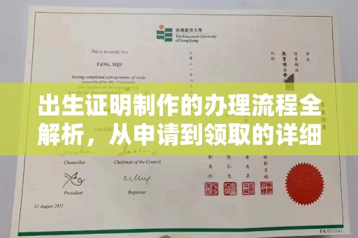塔河出生证明制作的办理流程全解析，从申请到领取的详细指南