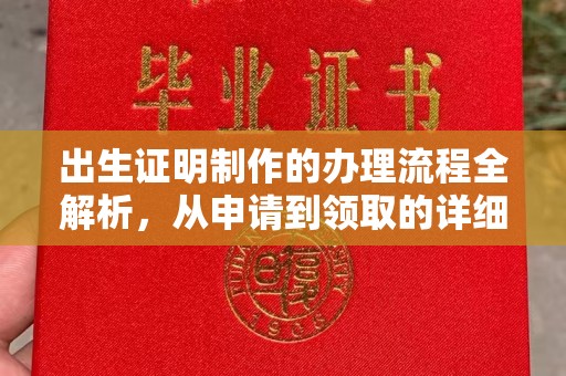 塔河出生证明制作的办理流程全解析，从申请到领取的详细指南