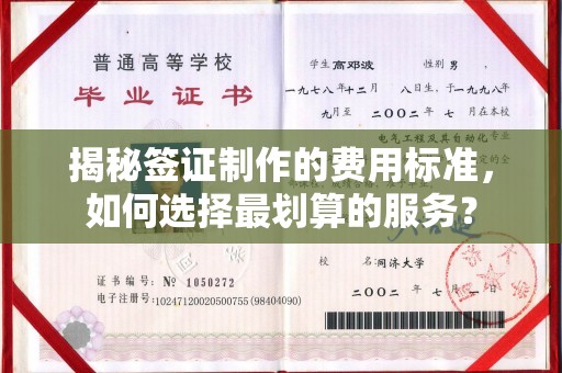 塔河揭秘签证制作的费用标准，如何选择最划算的服务？