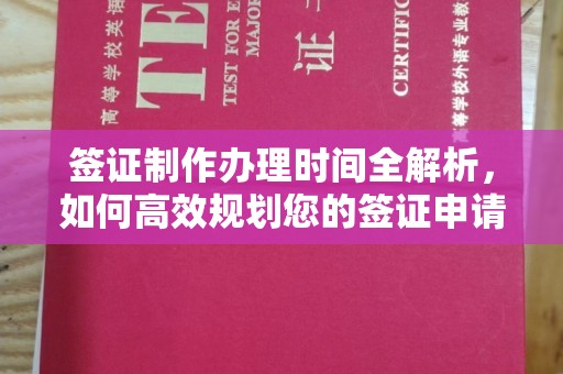 塔河签证制作办理时间全解析，如何高效规划您的签证申请流程